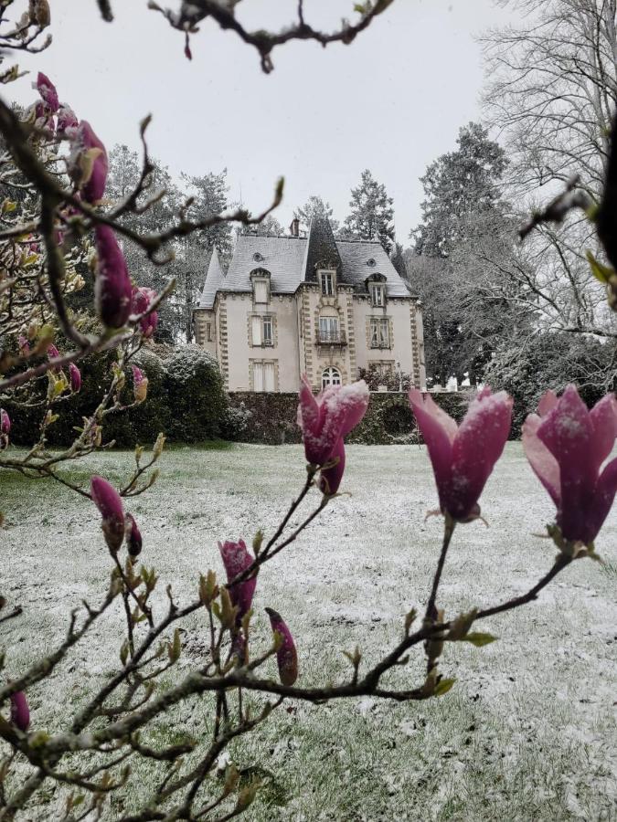Saint-Léonard-de-Noblat Chateau Maleplane B&B 외부 사진