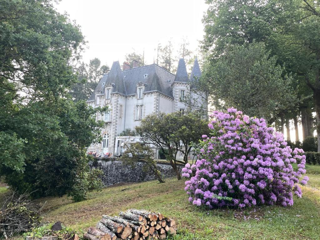 Saint-Léonard-de-Noblat Chateau Maleplane B&B 외부 사진