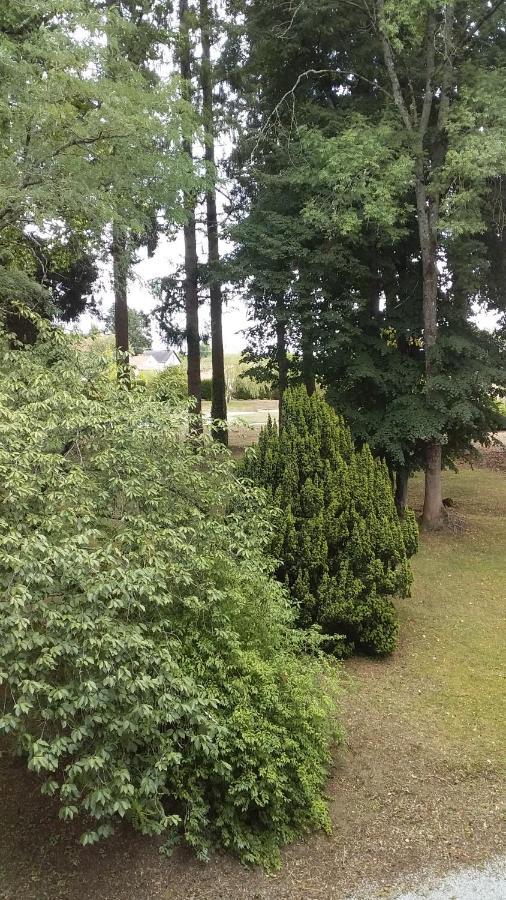 Saint-Léonard-de-Noblat Chateau Maleplane B&B 외부 사진