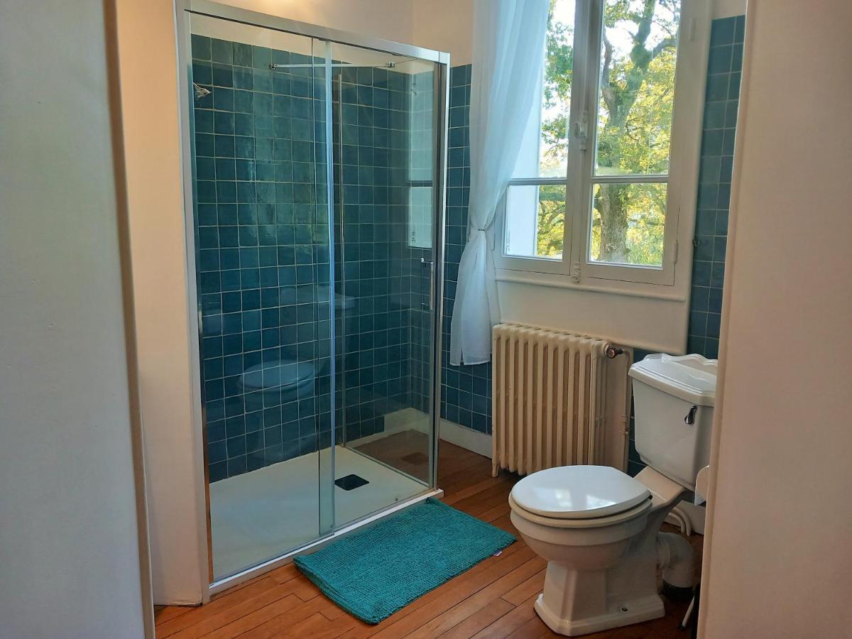 Saint-Léonard-de-Noblat Chateau Maleplane B&B 외부 사진