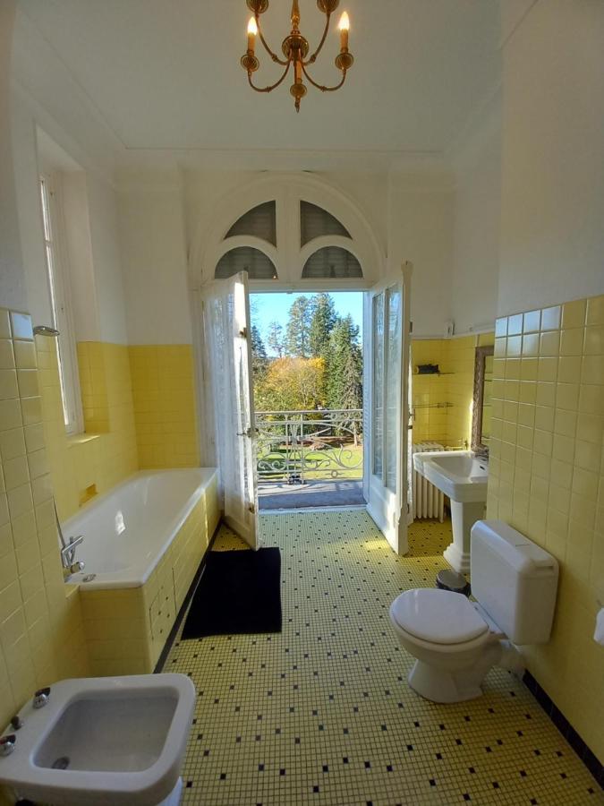 Saint-Léonard-de-Noblat Chateau Maleplane B&B 외부 사진