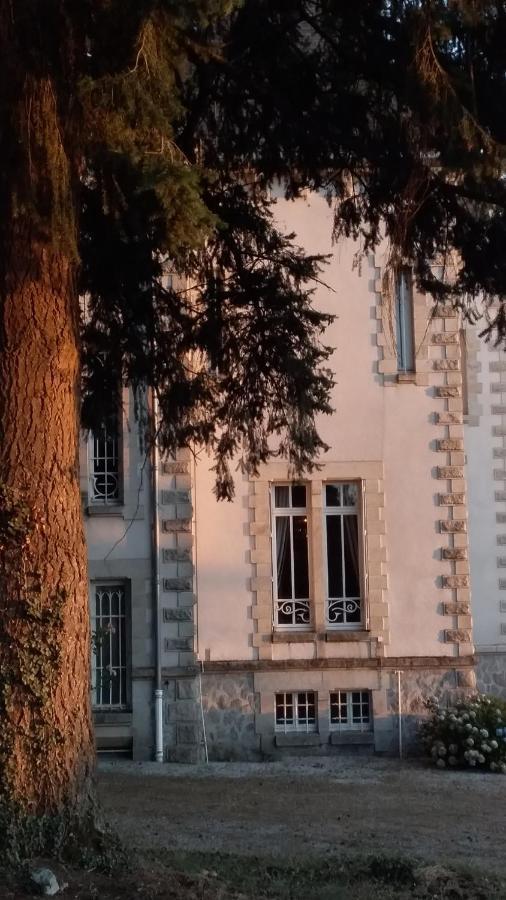 Saint-Léonard-de-Noblat Chateau Maleplane B&B 외부 사진