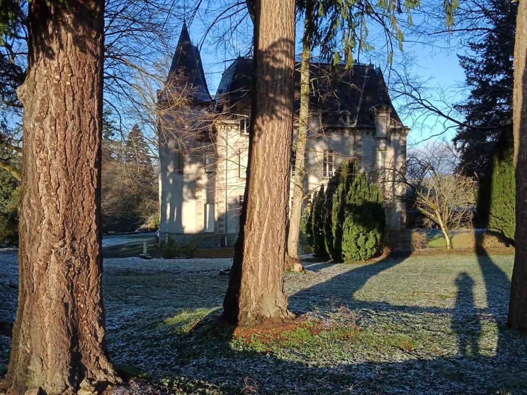 Saint-Léonard-de-Noblat Chateau Maleplane B&B 외부 사진